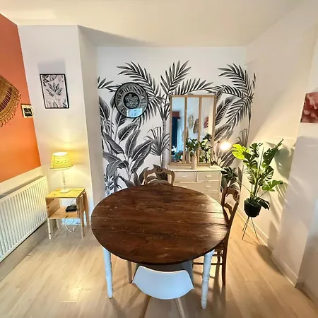 Cosy Tropic - 2ch - Parking & 2 Balcons Διαμέρισμα Pau