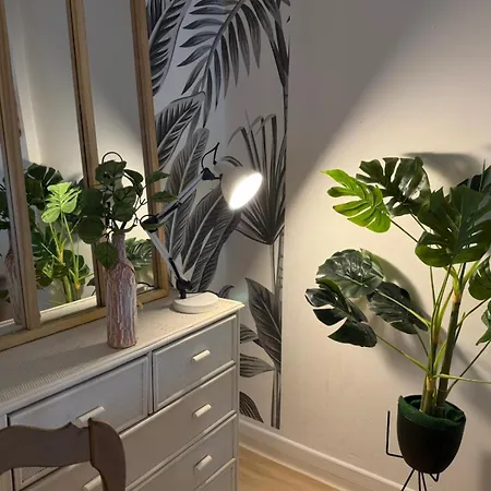 Cosy Tropic - 2ch - Parking & 2 Balcons * Pau